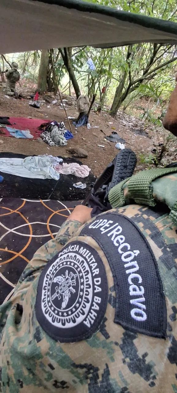 Imagem ilustrativa da imagem Tarzan do crime? PM destrói 'cafofo' de facção em matagal na Bahia