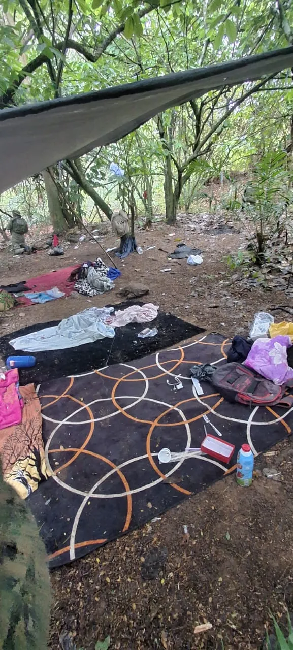 Imagem ilustrativa da imagem Tarzan do crime? PM destrói 'cafofo' de facção em matagal na Bahia