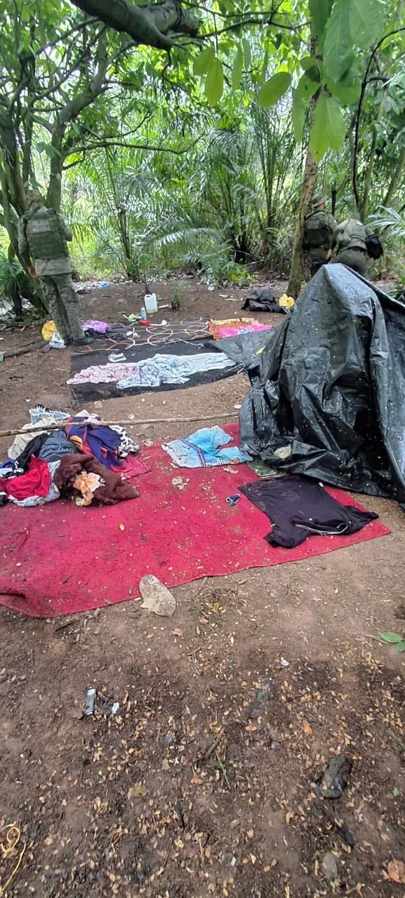 Imagem ilustrativa da imagem Tarzan do crime? PM destrói 'cafofo' de facção em matagal na Bahia