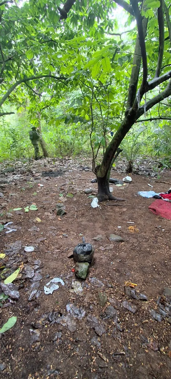 Imagem ilustrativa da imagem Tarzan do crime? PM destrói 'cafofo' de facção em matagal na Bahia