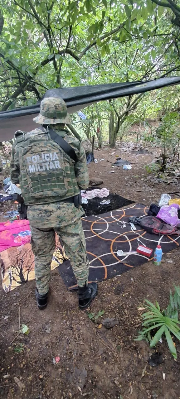 Imagem ilustrativa da imagem Tarzan do crime? PM destrói 'cafofo' de facção em matagal na Bahia