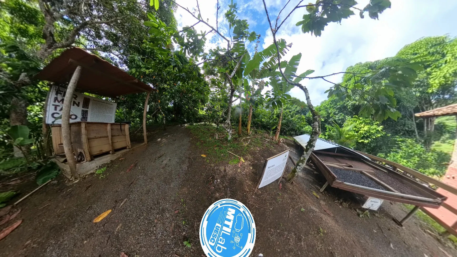 Imagem ilustrativa da imagem Tecnologia imersiva valoriza tradição cacaueira