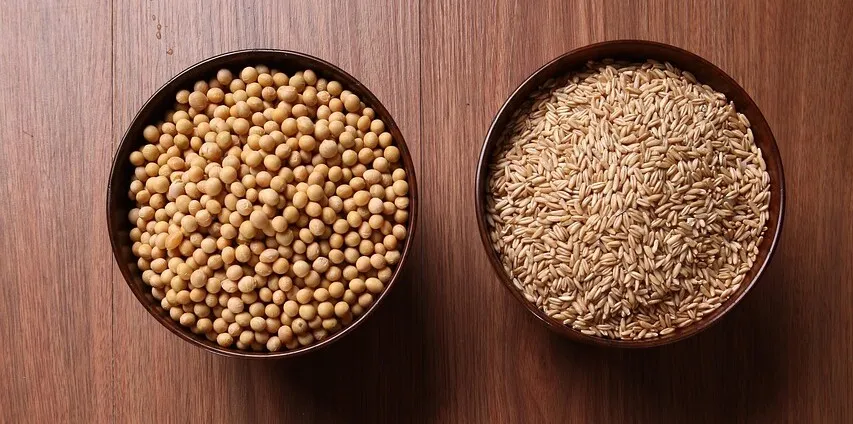 Imagem ilustrativa da imagem Volta às Aulas: como a lancheira pode melhorar o rendimento da criança