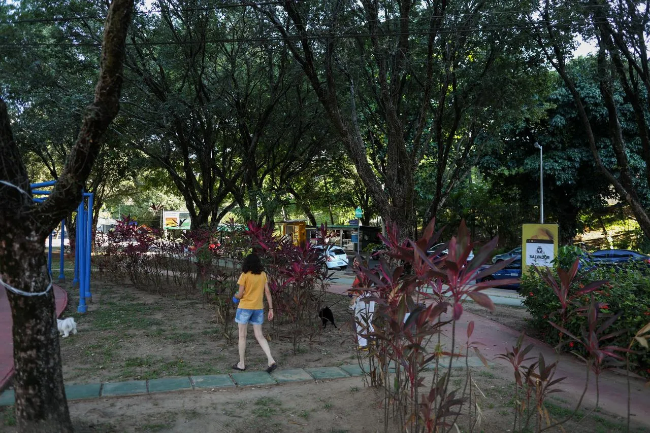 Praças arborizadas costumam compor o cenário de bairros como a Pituba, por exemplo