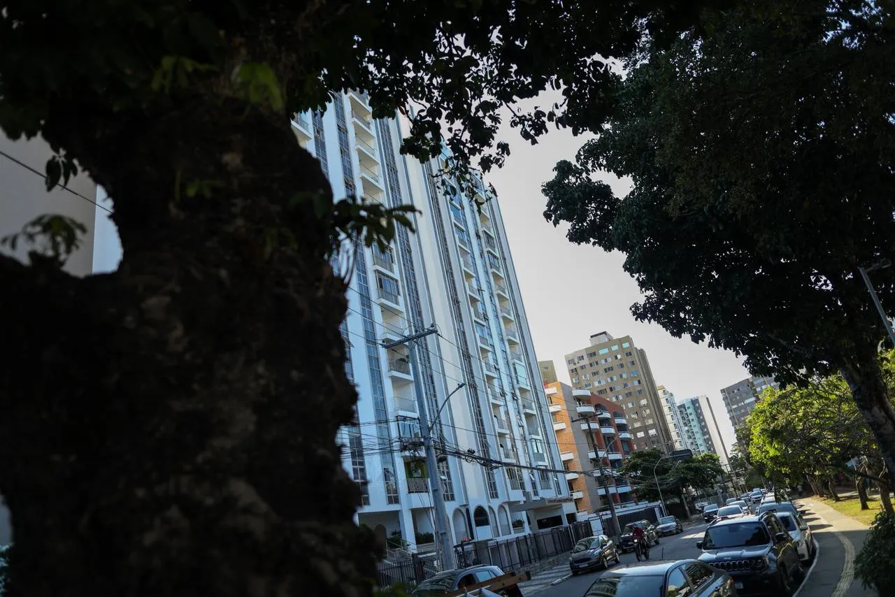 Árvores ajudam com a sombra!