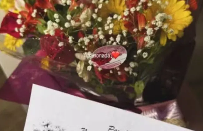 Imagem ilustrativa da imagem 