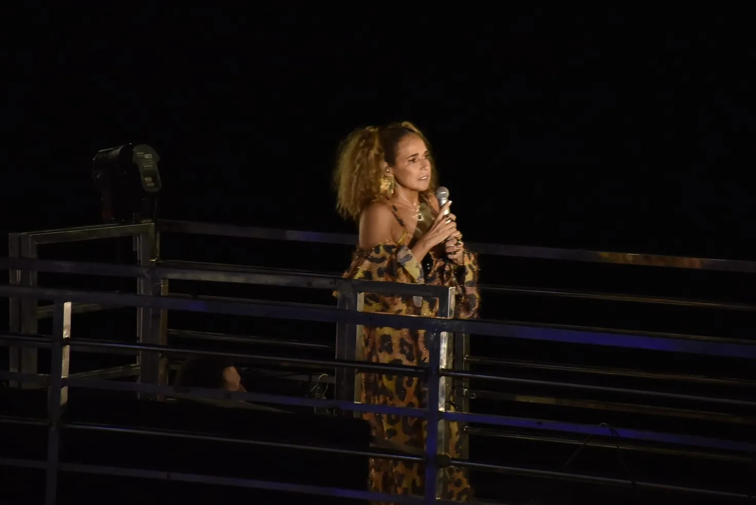 Cantora teve a decisão favorável indeferida