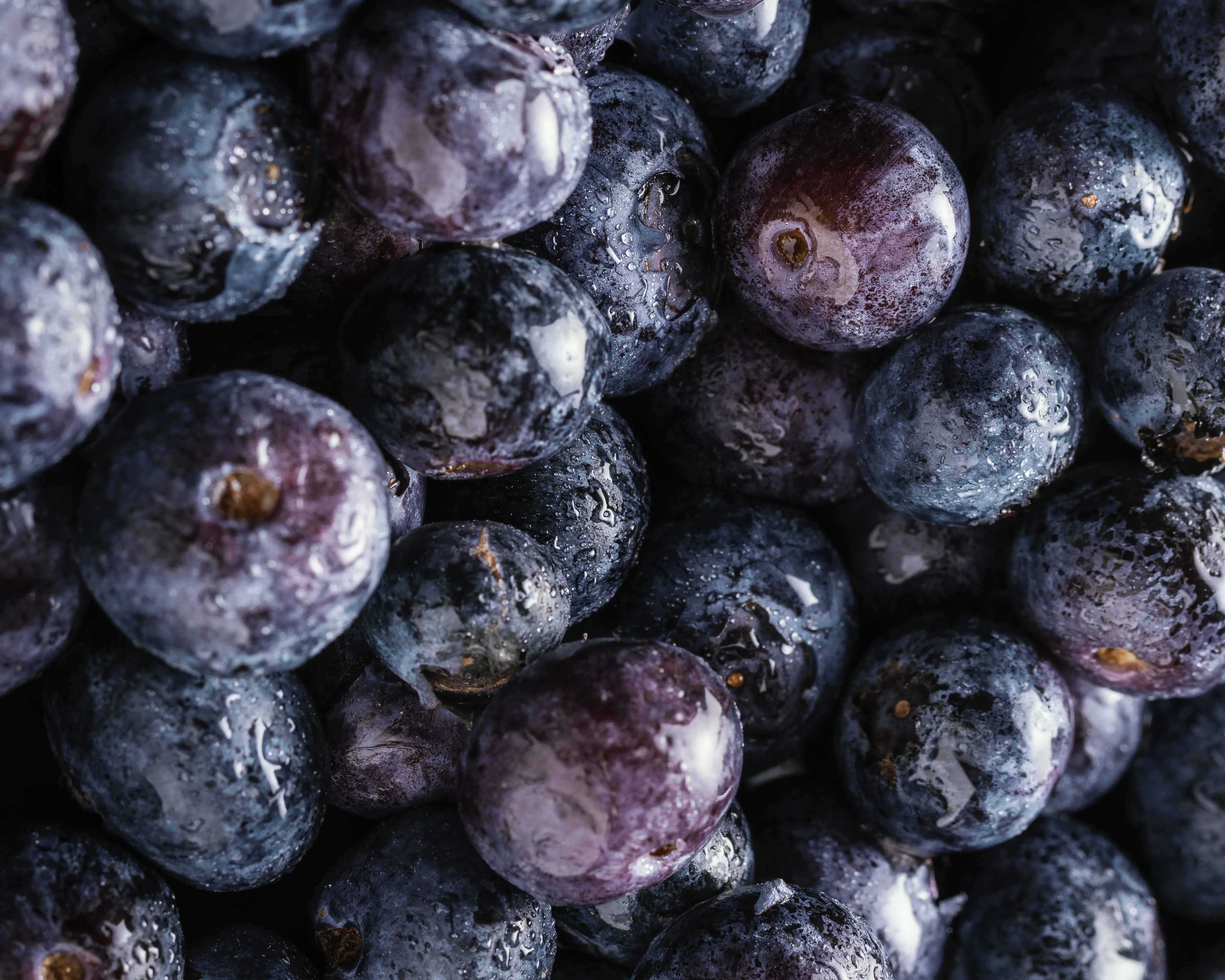 Jabuticaba