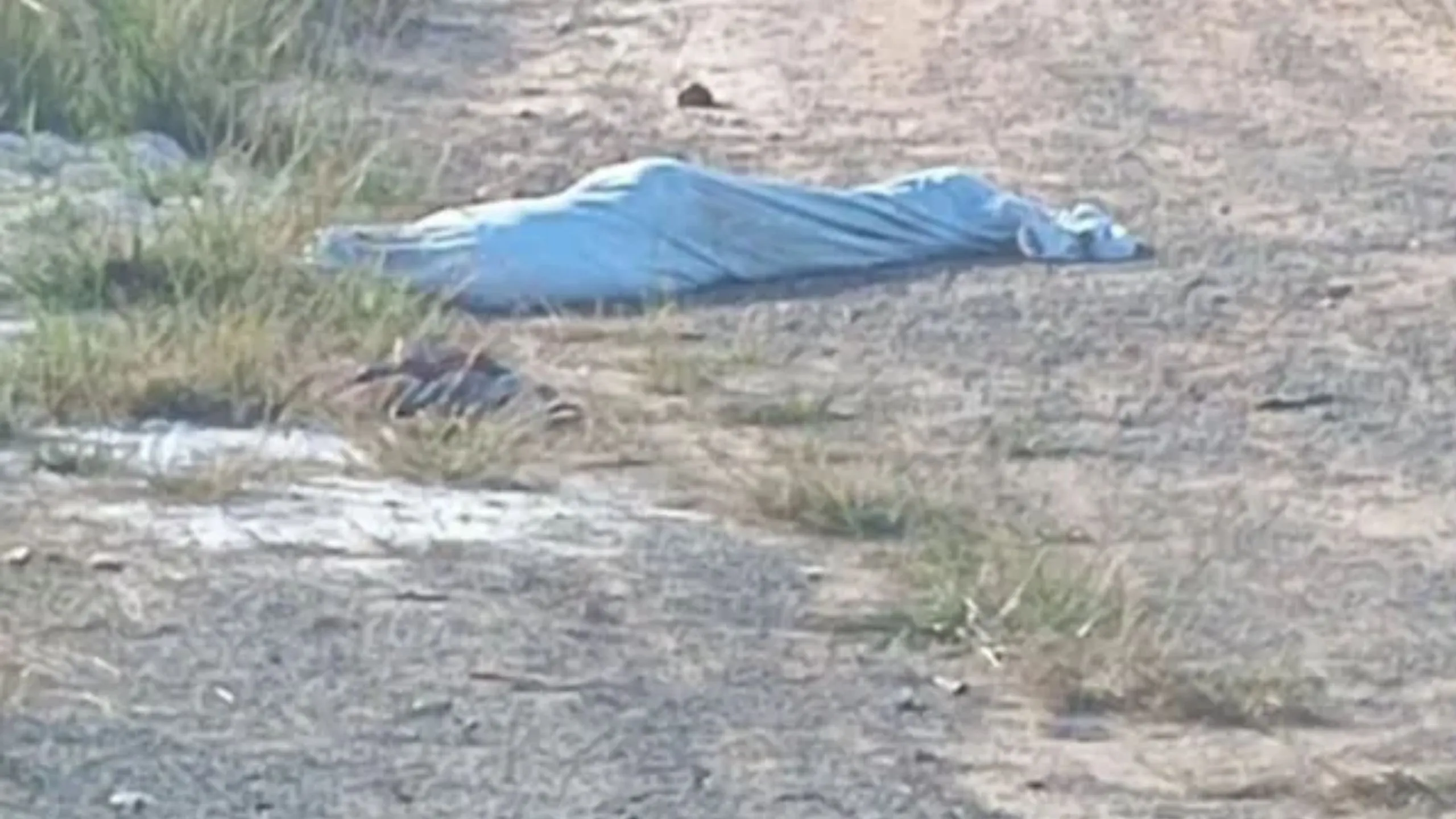 Vítima encontrada nesta quinta-feira (1°) ainda não foi identificada