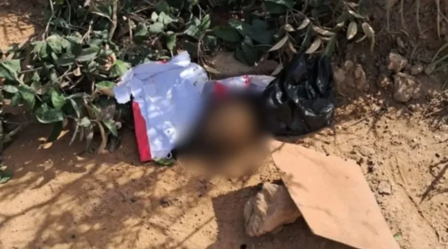 Cabeça encontrada dias após o crime