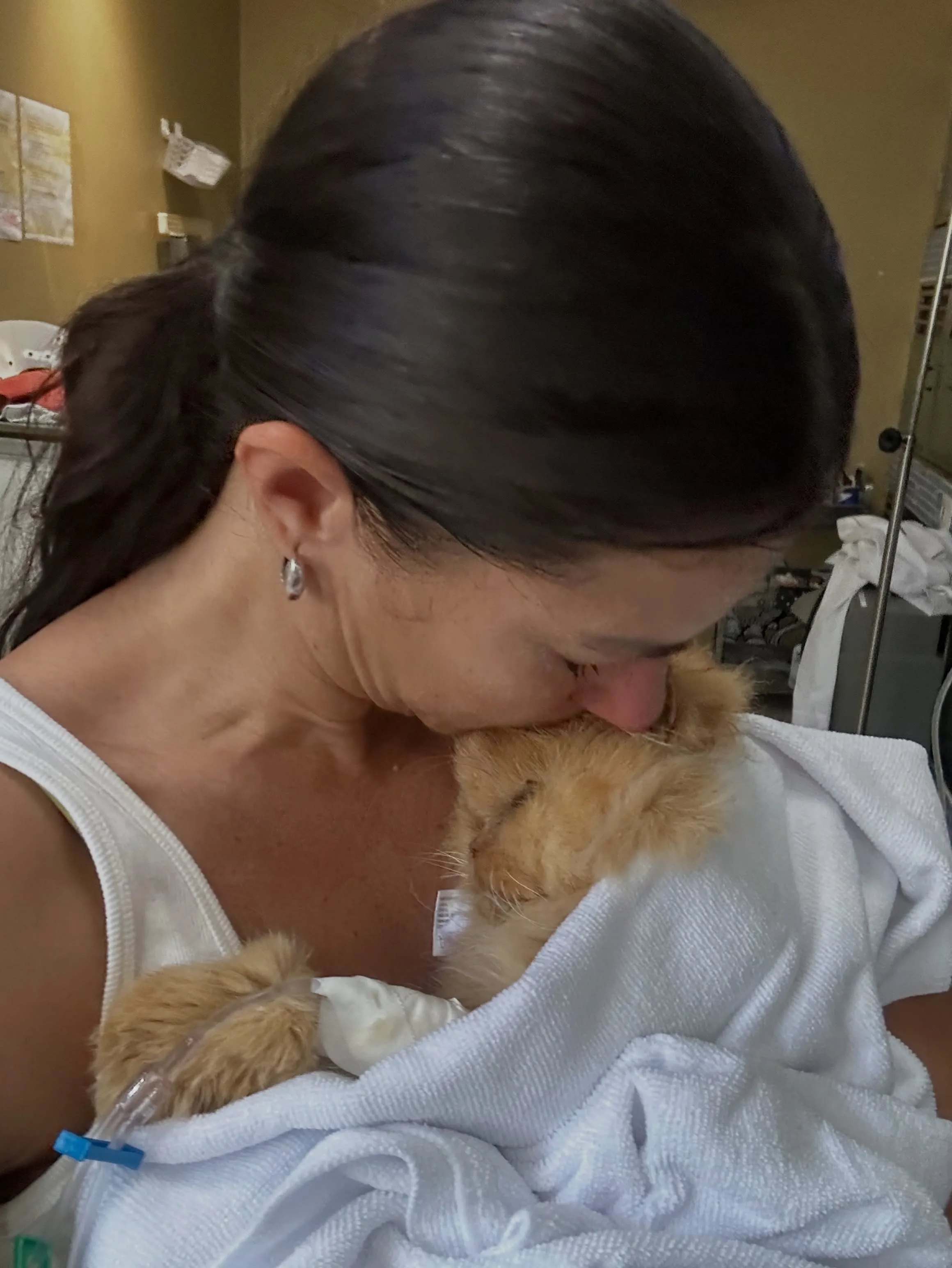 A jornalista Jéssica Senra lamentou morte de Nietzsche, seu gato de estimação
