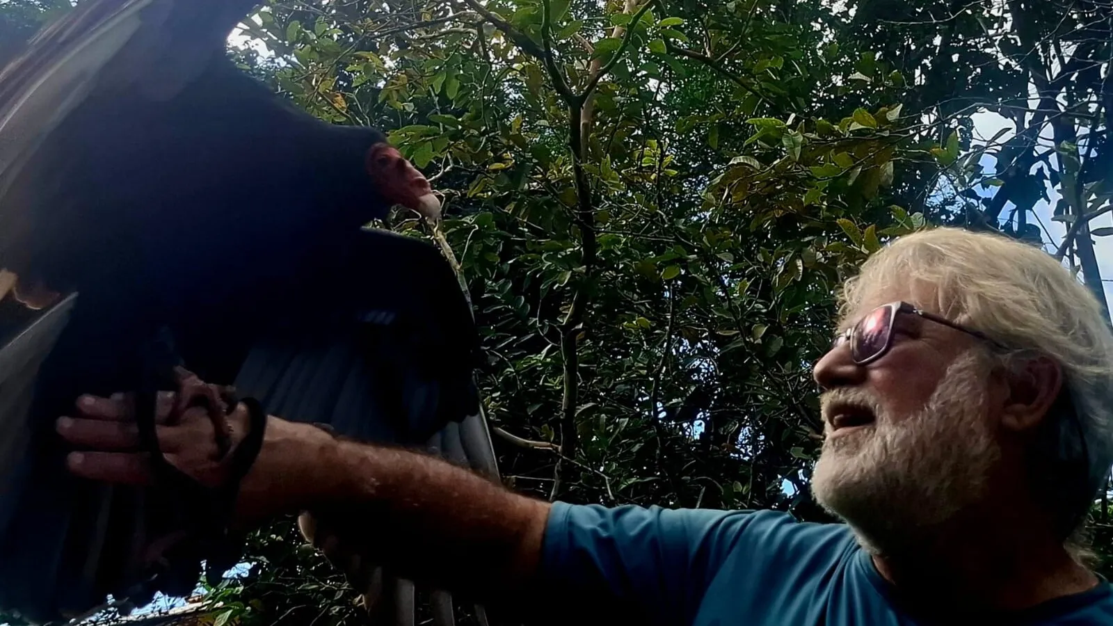 Paulo Lara com urubu de cabeça vermelha