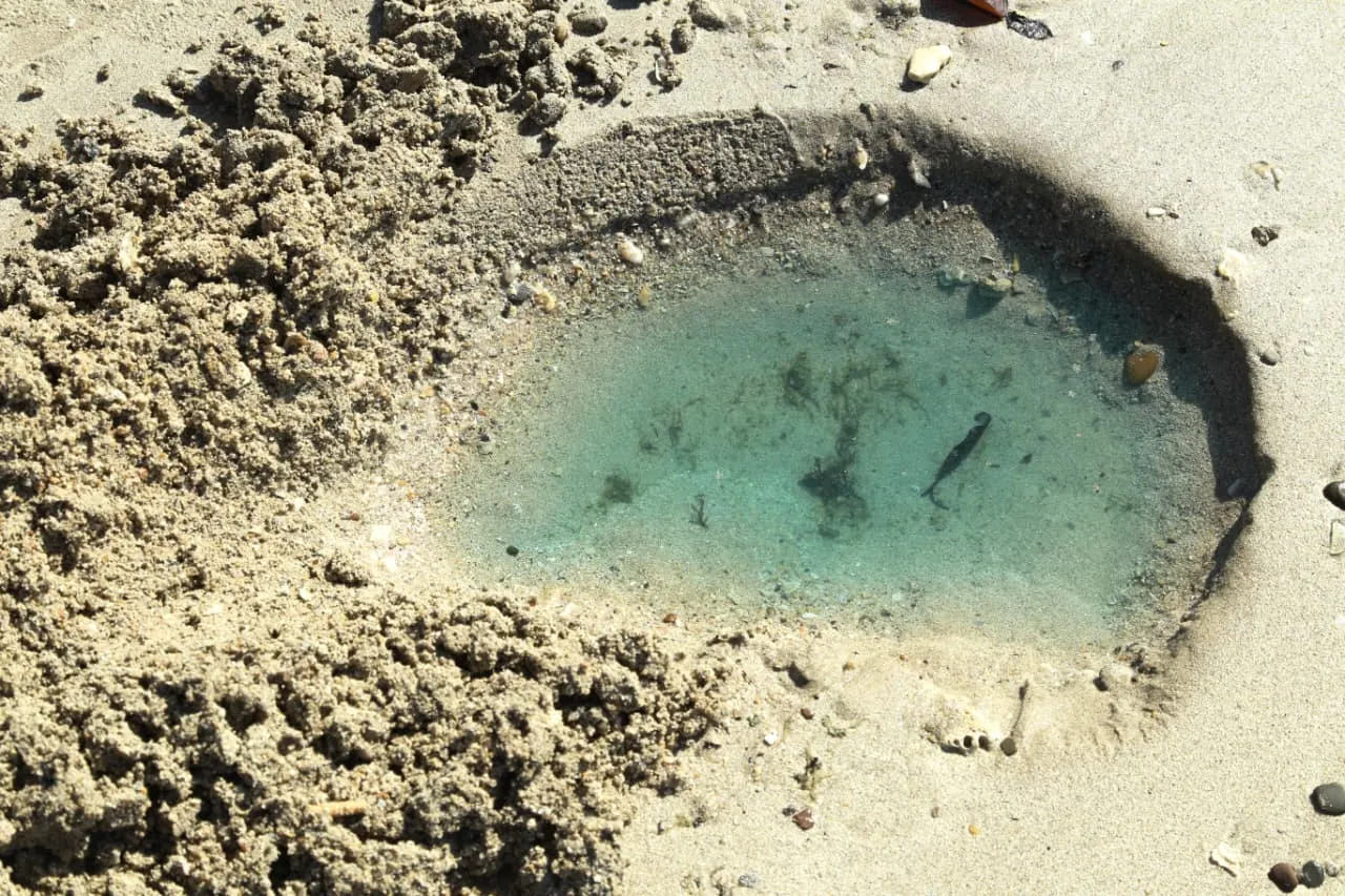 Líquidoa azul indicou presença de nitrato e cobre