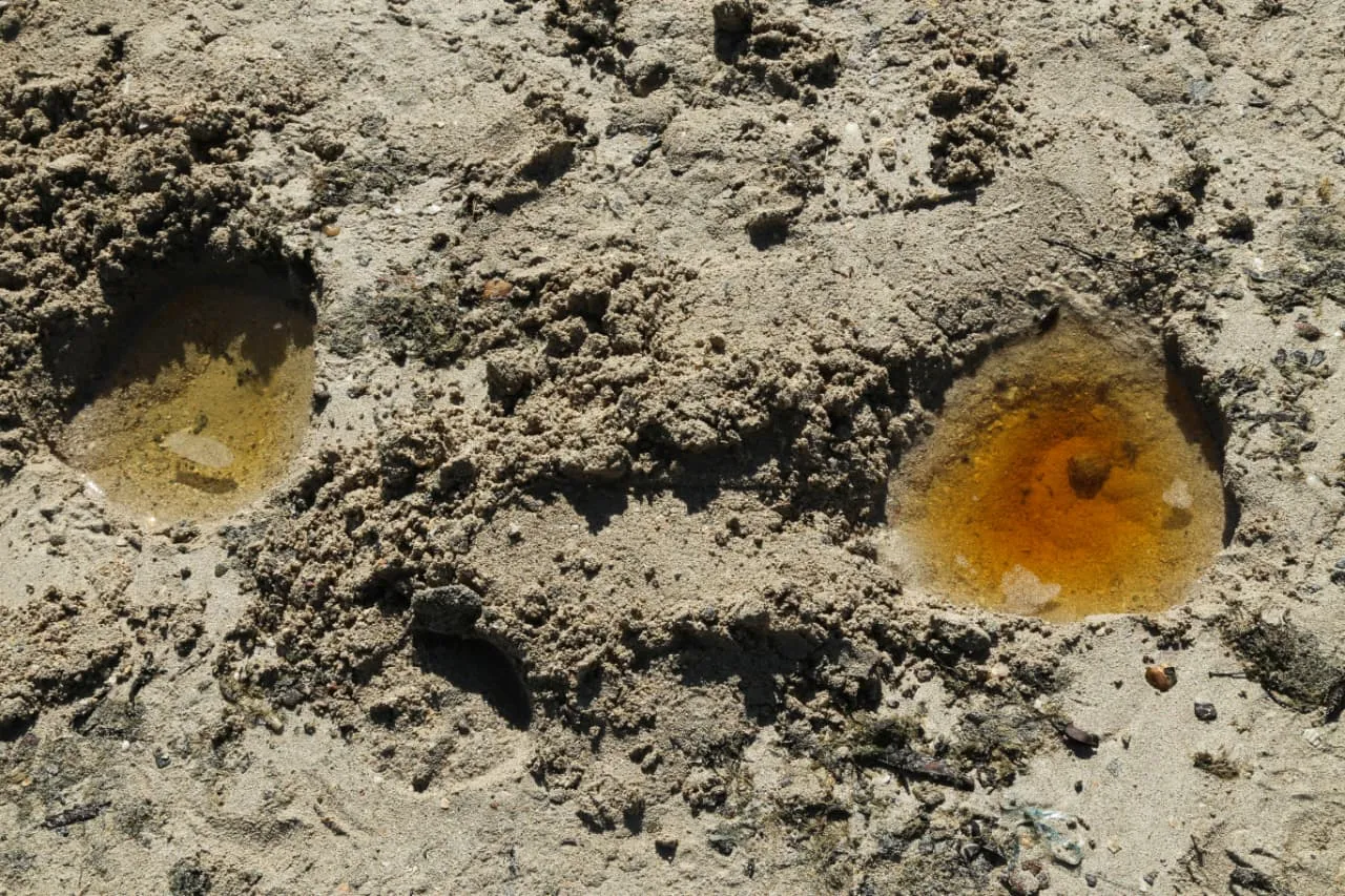 Líquido amarelo indicou presença de nitrato