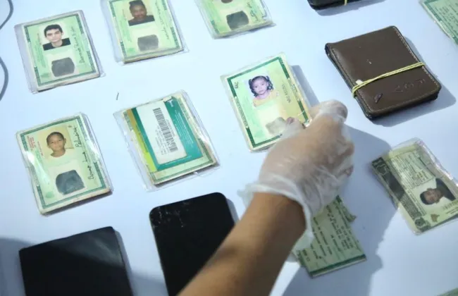 Imagem ilustrativa da imagem 