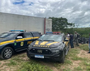 O mosquito Aedes aegypti é responsável por transmitir doenças como dengue e zika